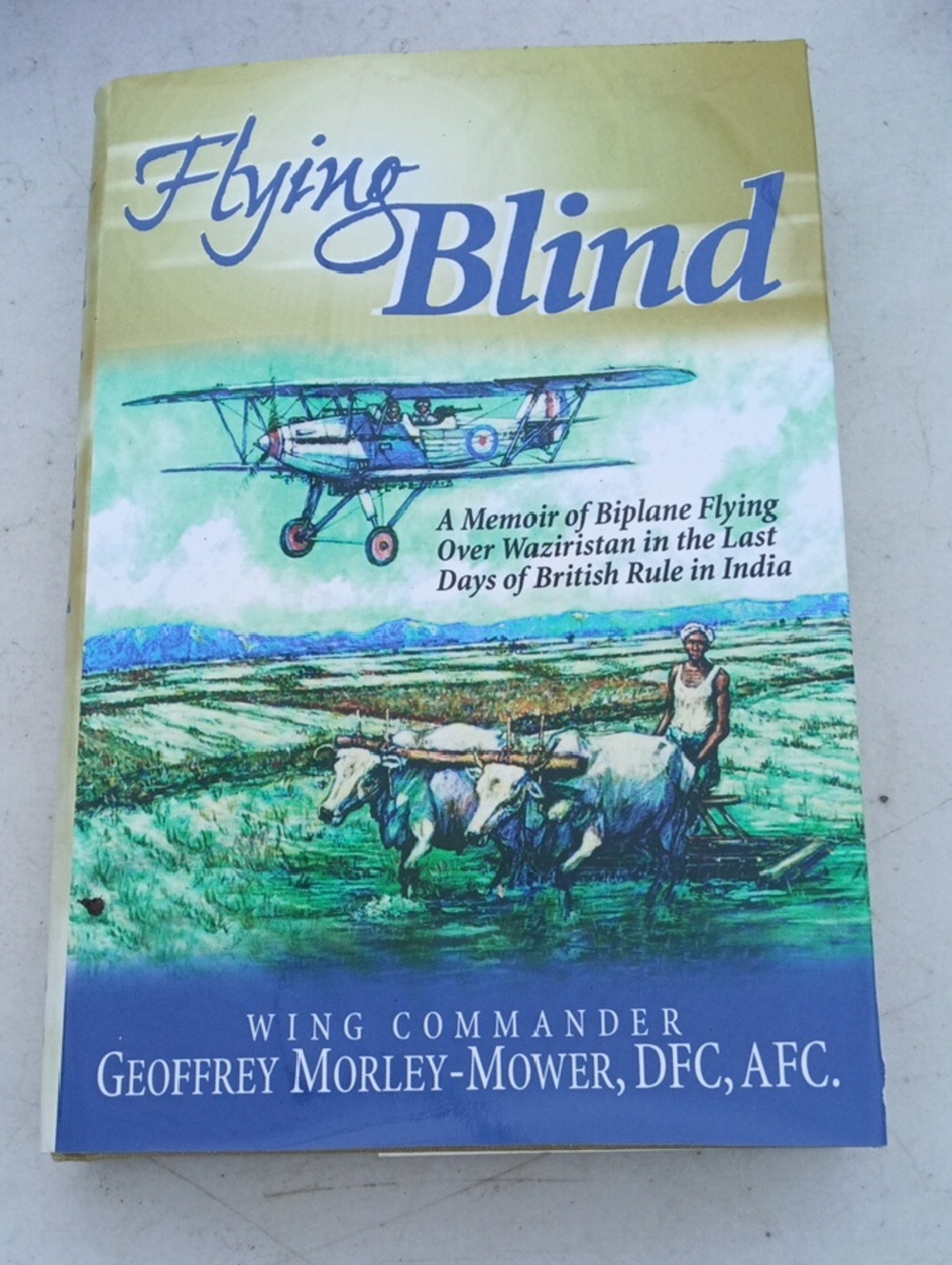 Flying Blind by Geoffrey Morley-Mower - Illustrated Paperback, Yellow/Blue/Green